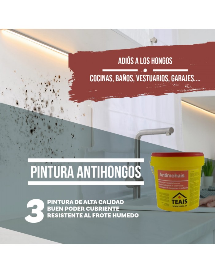 Cocina con verdín como escenario ideal para la aplicación de la pintura anti hongos o antimoho.