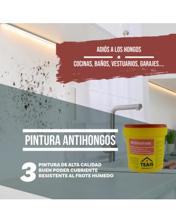 Cocina con verdín como escenario ideal para la aplicación de la pintura anti hongos o antimoho.