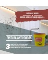Cocina con verdín como escenario ideal para la aplicación de la pintura anti hongos o antimoho.