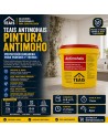Ventajas, características y aplicaciones de la pintura antimoho de teais